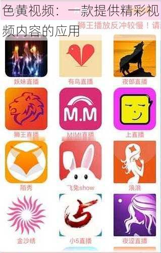 色黄视频:一款提供精彩视频内容的应用