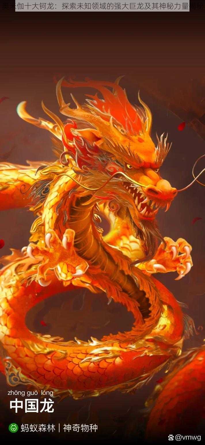 奥米伽十大钶龙:探索未知领域的强大巨龙及其神秘力量揭秘