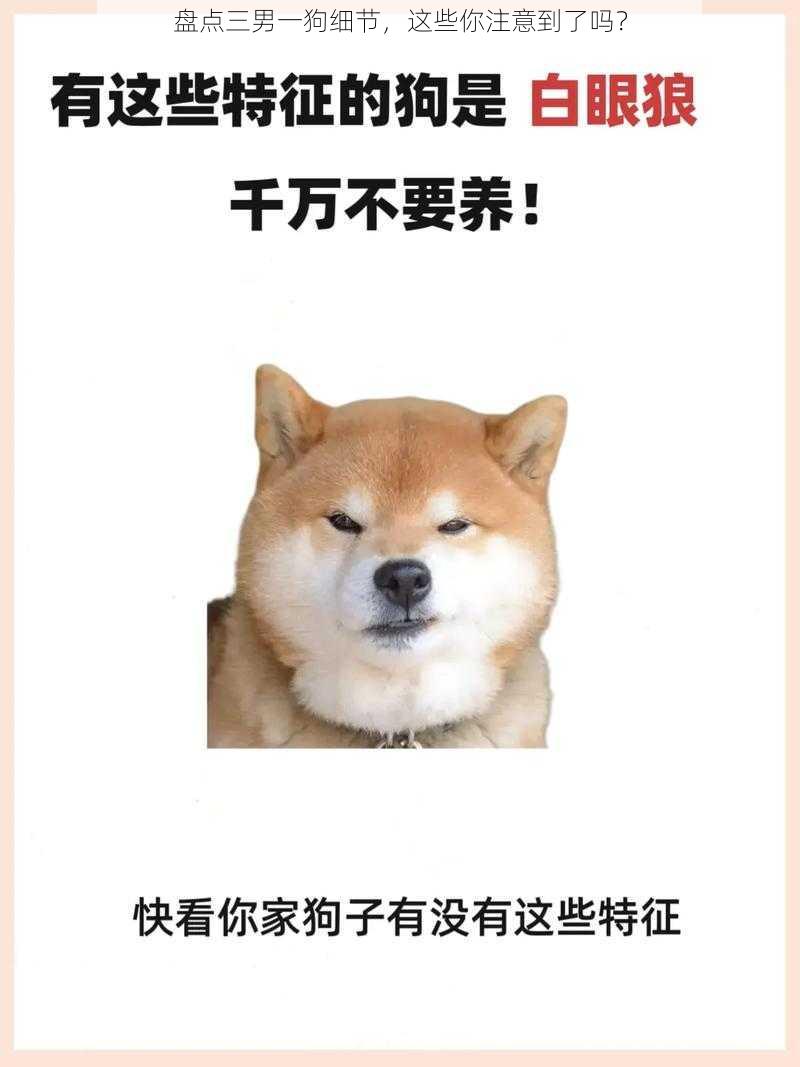 盘点三男一狗细节,这些你注意到了吗?