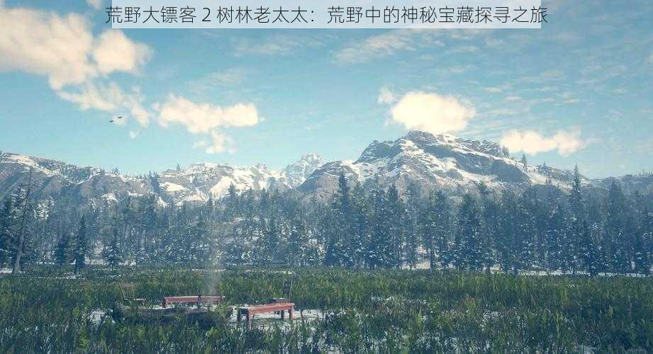 荒野大镖客 2 树林老太太:荒野中的神秘宝藏探寻之旅