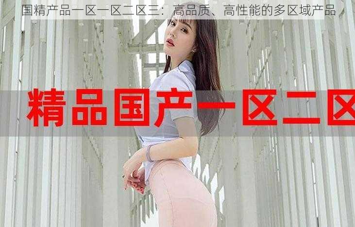 国精产品一区一区二区三:高品质、高性能的多区域产品