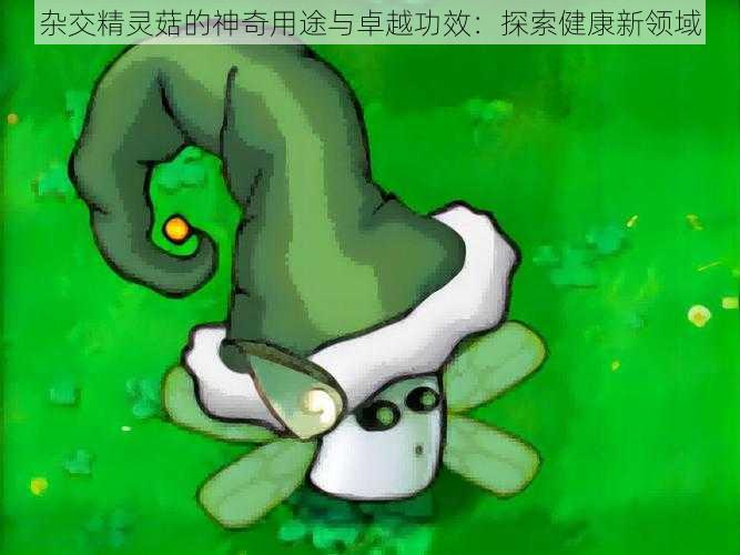 杂交精灵菇的神奇用途与卓越功效:探索健康新领域