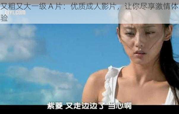 又粗又大一级 A 片:优质成人影片,让你尽享激情体验