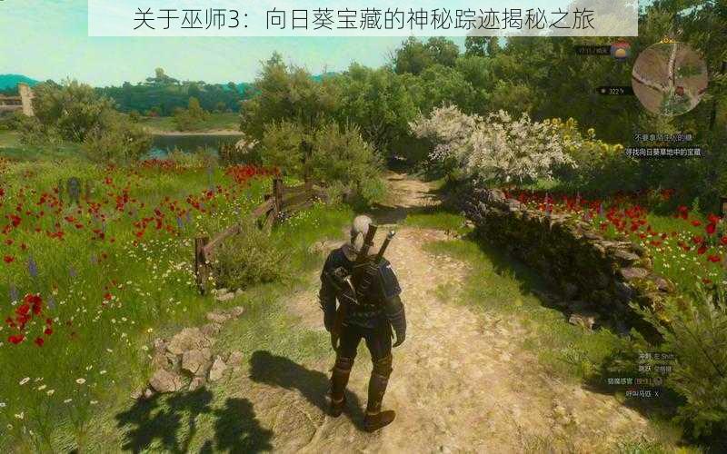 关于巫师3:向日葵宝藏的神秘踪迹揭秘之旅