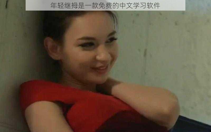 年轻继拇是一款免费的中文学习软件