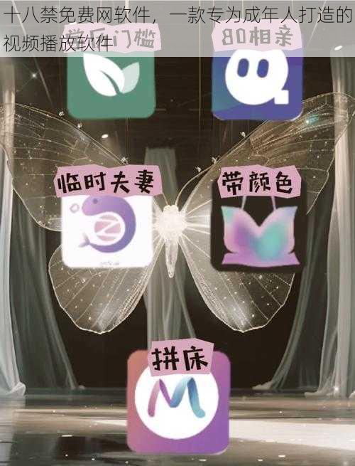 十八禁免费网软件,一款专为成年人打造的视频播放软件
