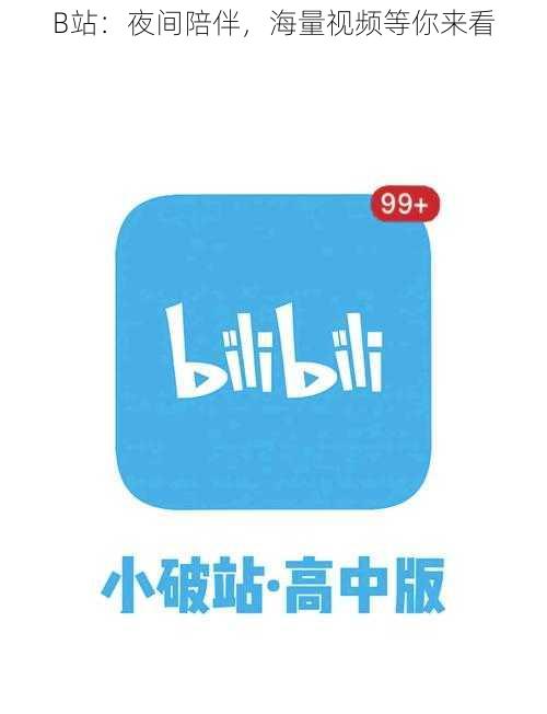 B站:夜间陪伴,海量视频等你来看