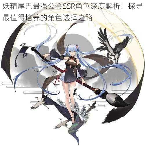 妖精尾巴最强公会SSR角色深度解析:探寻最值得培养的角色选择之路