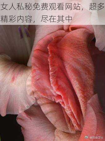 女人私秘免费观看网站,超多精彩内容,尽在其中