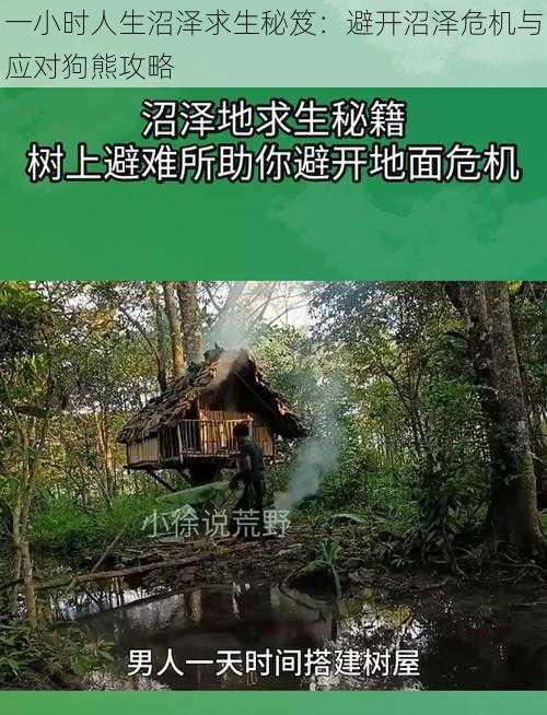 一小时人生沼泽求生秘笈:避开沼泽危机与应对狗熊攻略