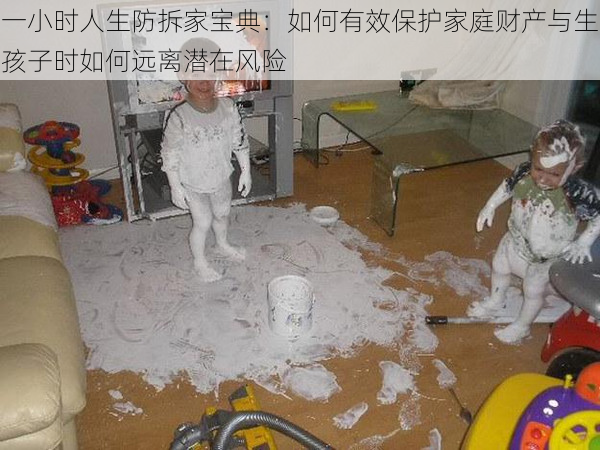一小时人生防拆家宝典:如何有效保护家庭财产与生孩子时如何远离潜在风险