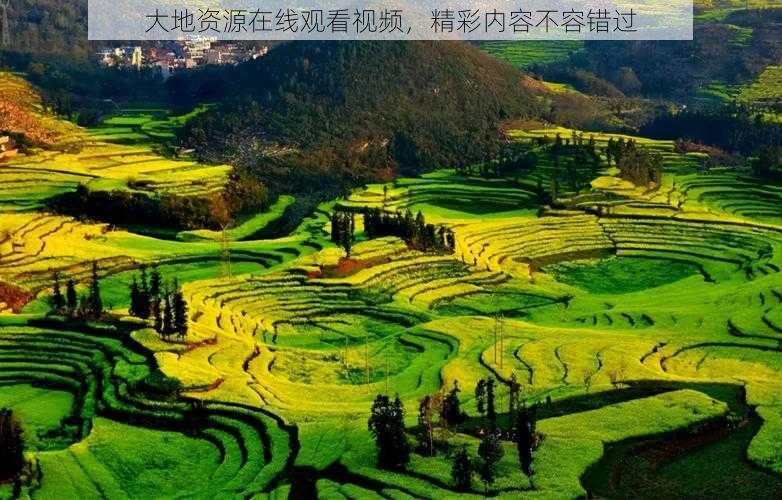 大地资源在线观看视频,精彩内容不容错过