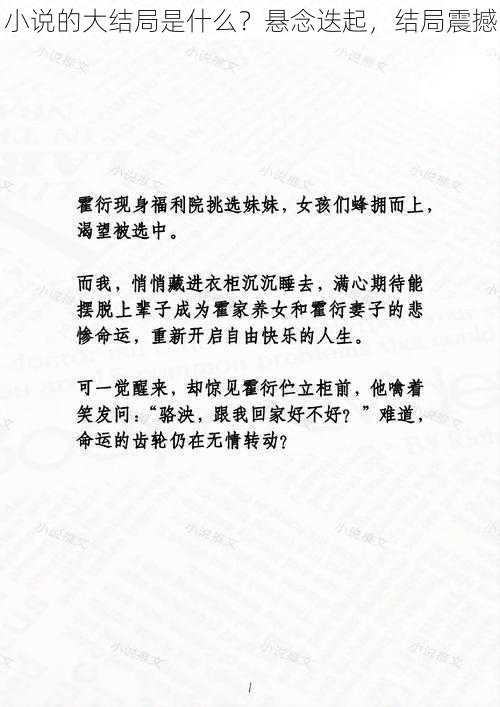 小说的大结局是什么?悬念迭起,结局震撼