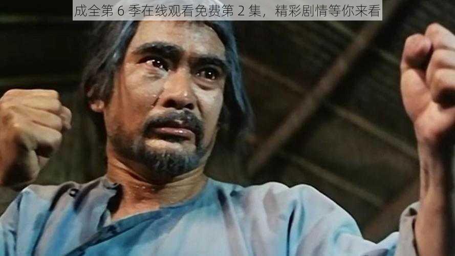 成全第 6 季在线观看免费第 2 集,精彩剧情等你来看