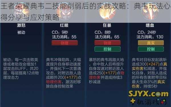 王者荣耀典韦二技能削弱后的实战攻略:典韦玩法心得分享与应对策略