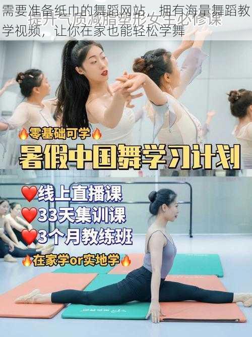 需要准备纸巾的舞蹈网站,拥有海量舞蹈教学视频,让你在家也能轻松学舞