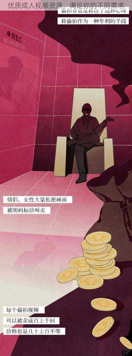 优质成人视频资源,满足你的不同需求