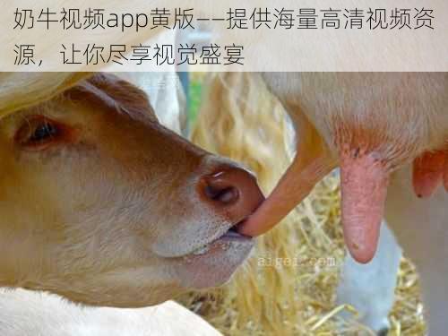 奶牛视频app黄版——提供海量高清视频资源,让你尽享视觉盛宴