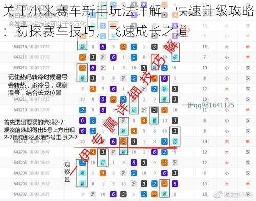 关于小米赛车新手玩法详解:快速升级攻略:初探赛车技巧,飞速成长之道