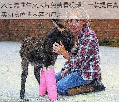 人与禽性生交大片免费看视频:一款提供真实动物色情内容的应用