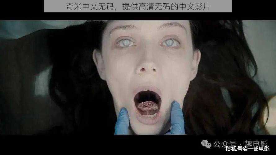 奇米中文无码,提供高清无码的中文影片