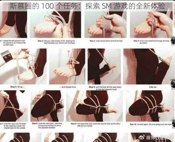 斯慕圈的 100 个任务:探索 SM 游戏的全新体验