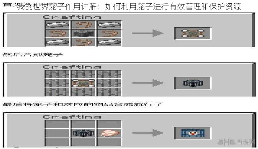 我的世界笼子作用详解:如何利用笼子进行有效管理和保护资源