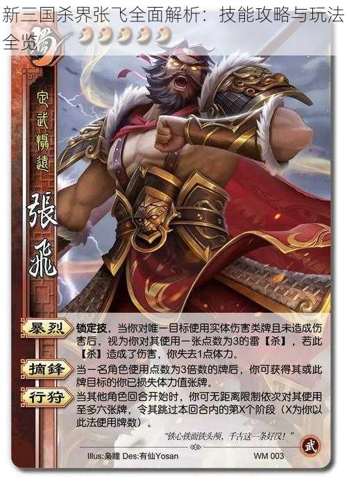 新三国杀界张飞全面解析:技能攻略与玩法全览