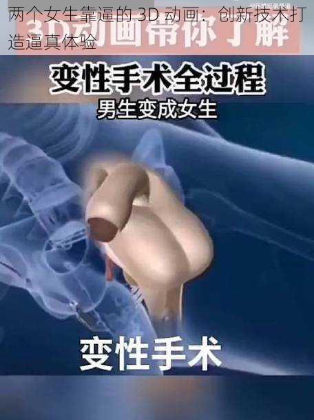 两个女生靠逼的 3D 动画:创新技术打造逼真体验