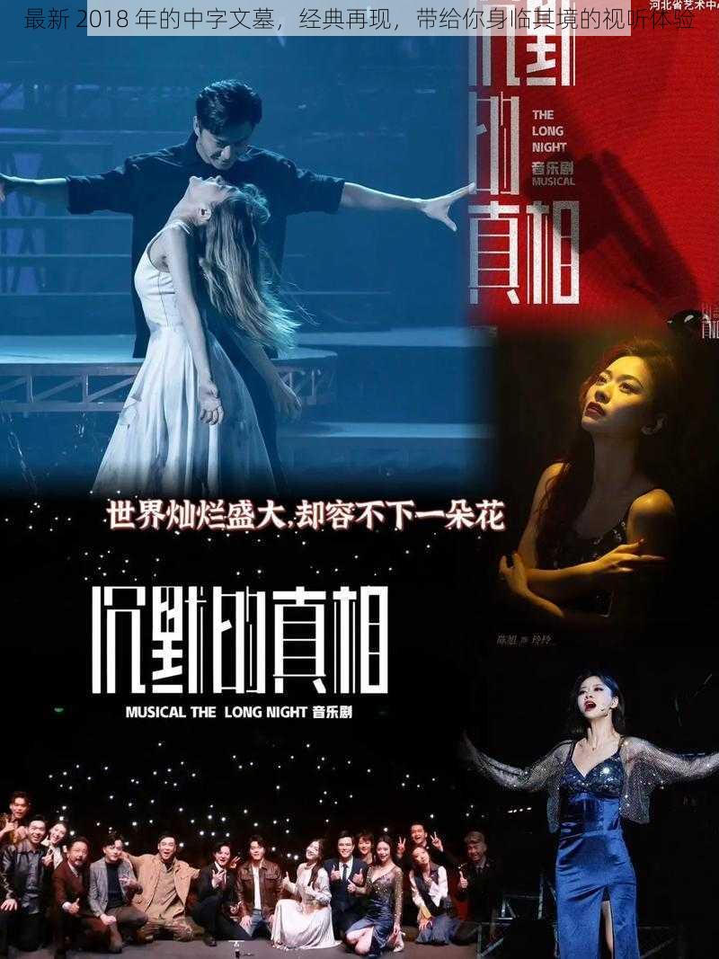 最新 2018 年的中字文墓,经典再现,带给你身临其境的视听体验