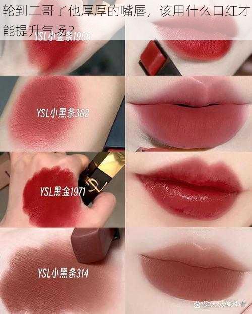 轮到二哥了他厚厚的嘴唇,该用什么口红才能提升气场?