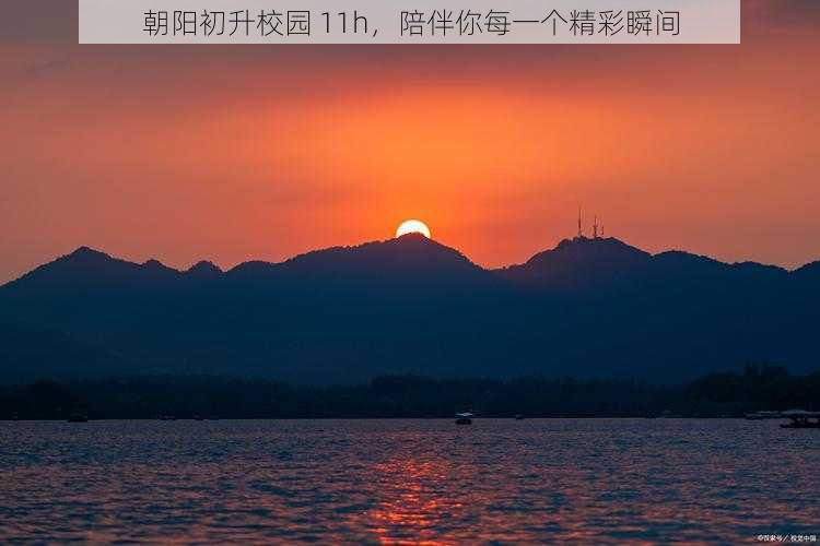 朝阳初升校园 11h,陪伴你每一个精彩瞬间