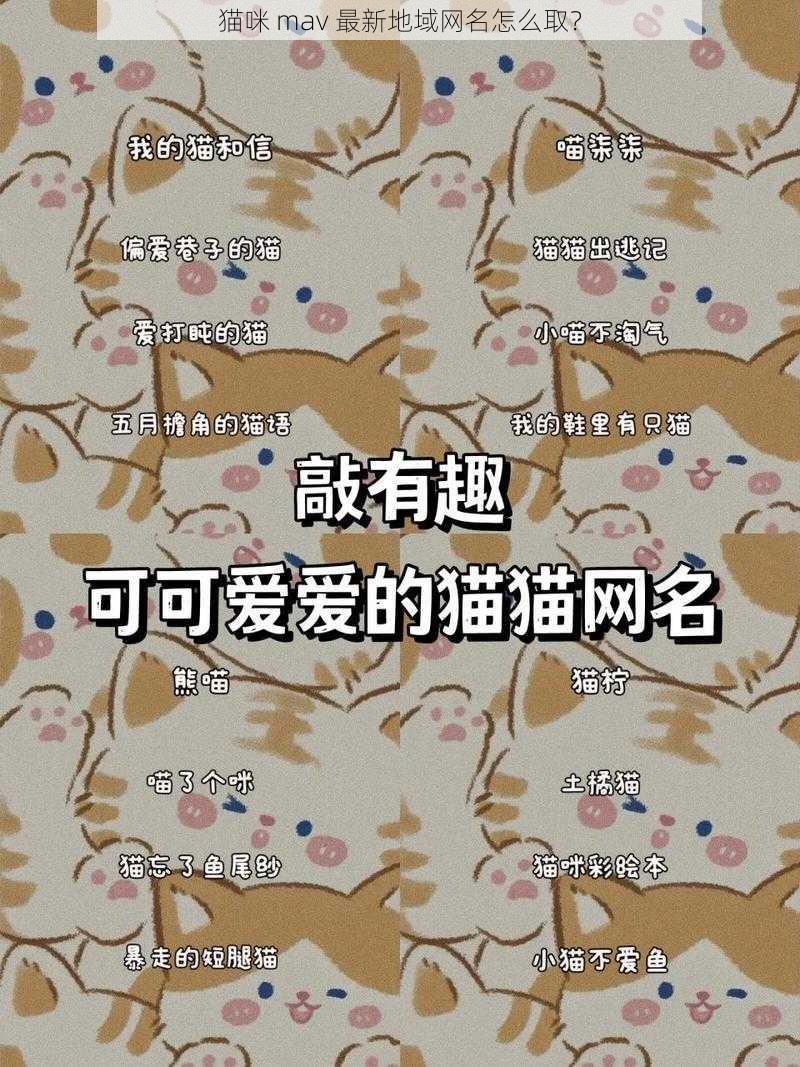 猫咪 mav 最新地域网名怎么取?