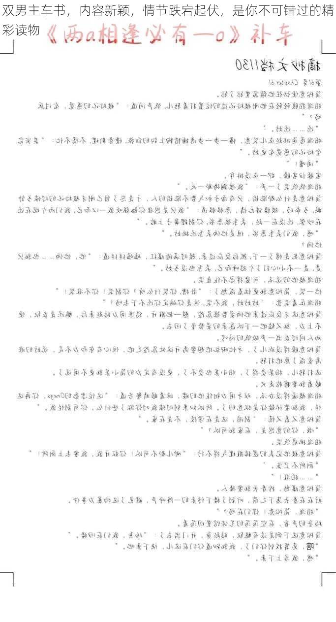 双男主车书,内容新颖,情节跌宕起伏,是你不可错过的精彩读物