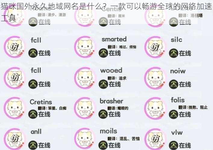 猫咪国外永久地域网名是什么?一款可以畅游全球的网络加速工具