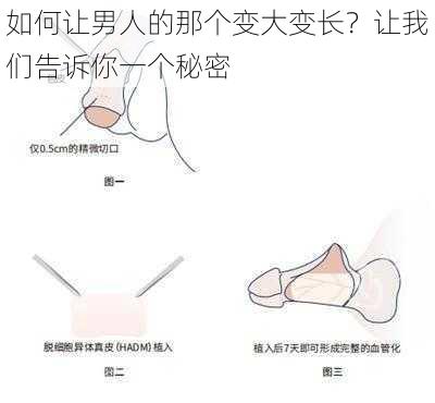 如何让男人的那个变大变长?让我们告诉你一个秘密
