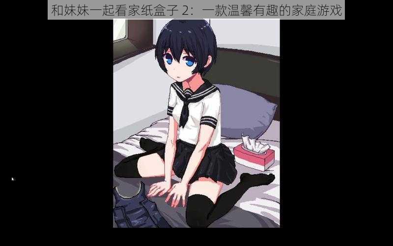和妹妹一起看家纸盒子 2:一款温馨有趣的家庭游戏