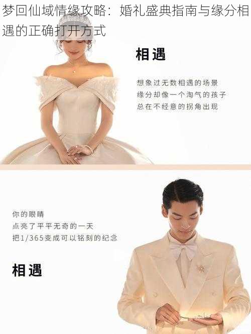 梦回仙域情缘攻略:婚礼盛典指南与缘分相遇的正确打开方式