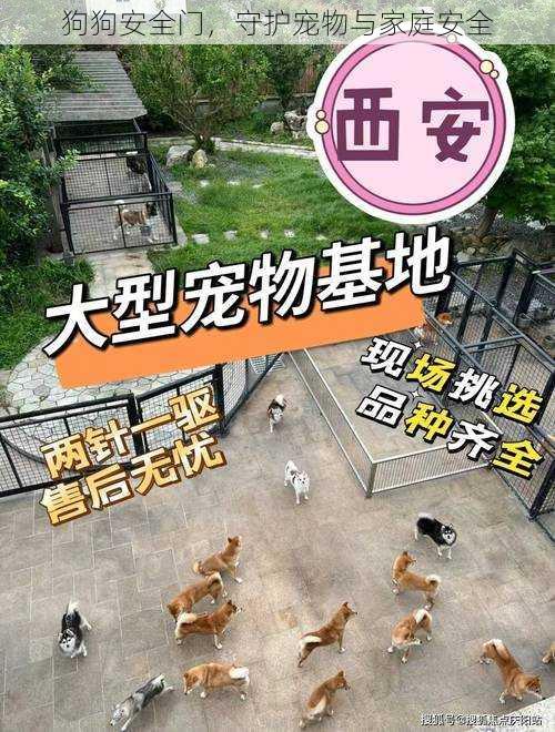 狗狗安全门,守护宠物与家庭安全