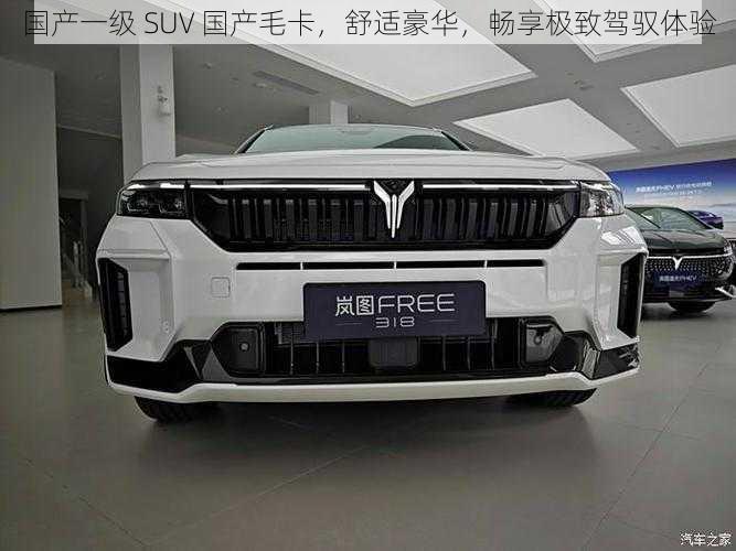 国产一级 SUV 国产毛卡,舒适豪华,畅享极致驾驭体验