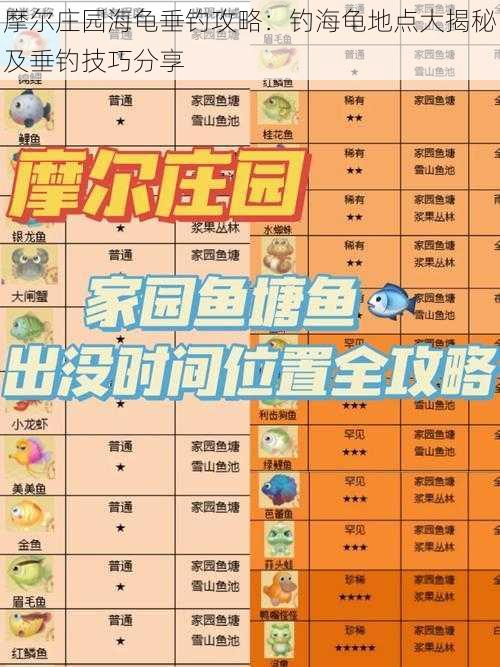 摩尔庄园海龟垂钓攻略:钓海龟地点大揭秘及垂钓技巧分享