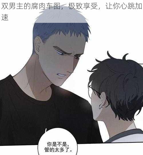 双男主的腐肉车图,极致享受,让你心跳加速