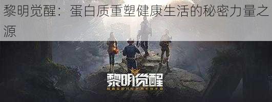 黎明觉醒:蛋白质重塑健康生活的秘密力量之源