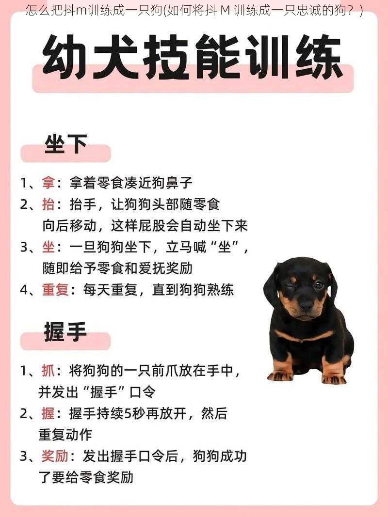 怎么把抖m训练成一只狗(如何将抖 M 训练成一只忠诚的狗?)