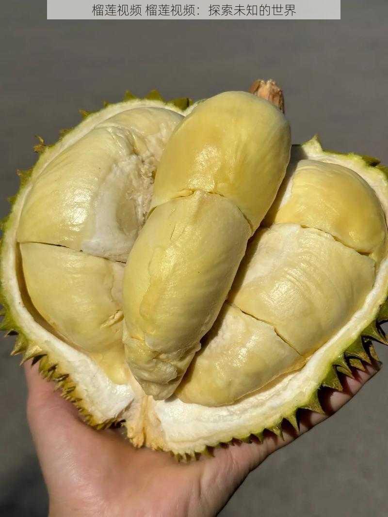 榴莲视频 榴莲视频:探索未知的世界