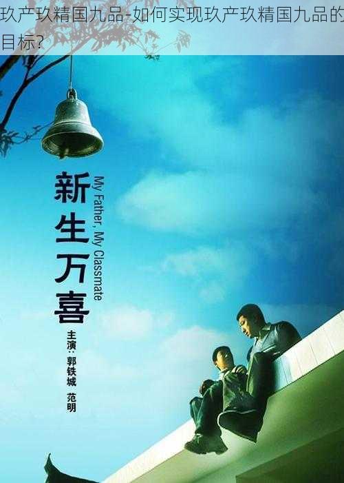 玖产玖精国九品-如何实现玖产玖精国九品的目标?