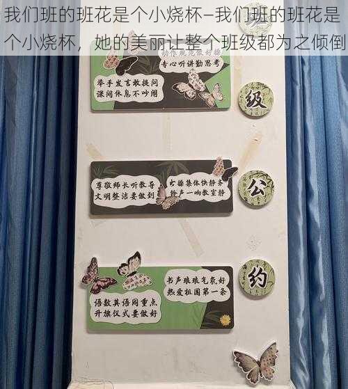 我们班的班花是个小烧杯—我们班的班花是个小烧杯,她的美丽让整个班级都为之倾倒