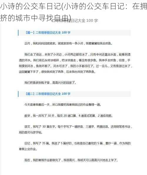小诗的公交车日记(小诗的公交车日记:在拥挤的城市中寻找自由)