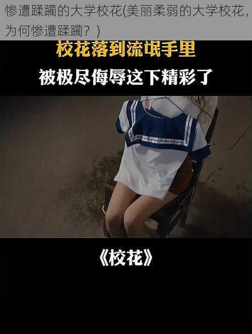惨遭蹂躏的大学校花(美丽柔弱的大学校花,为何惨遭蹂躏?)