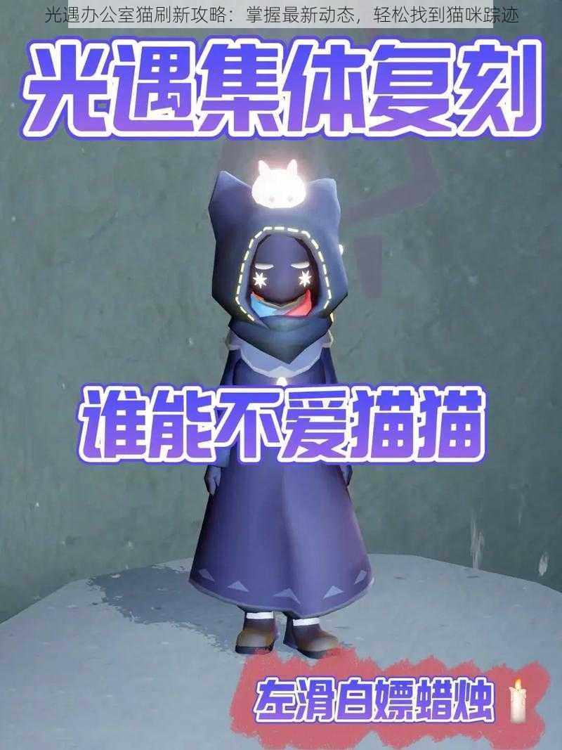 光遇办公室猫刷新攻略:掌握最新动态,轻松找到猫咪踪迹